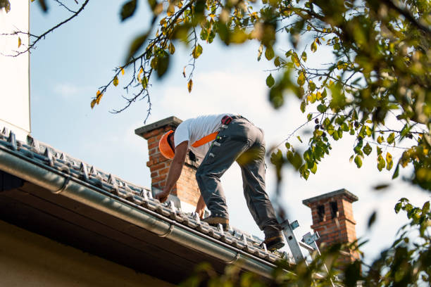 Best Storm Damage Roof Repair  in August, CA