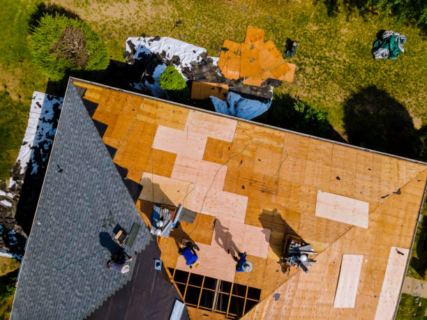 Best Roof Maintenance Services  in August, CA