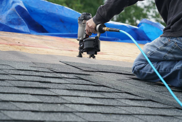Best Roof Gutter Cleaning  in August, CA